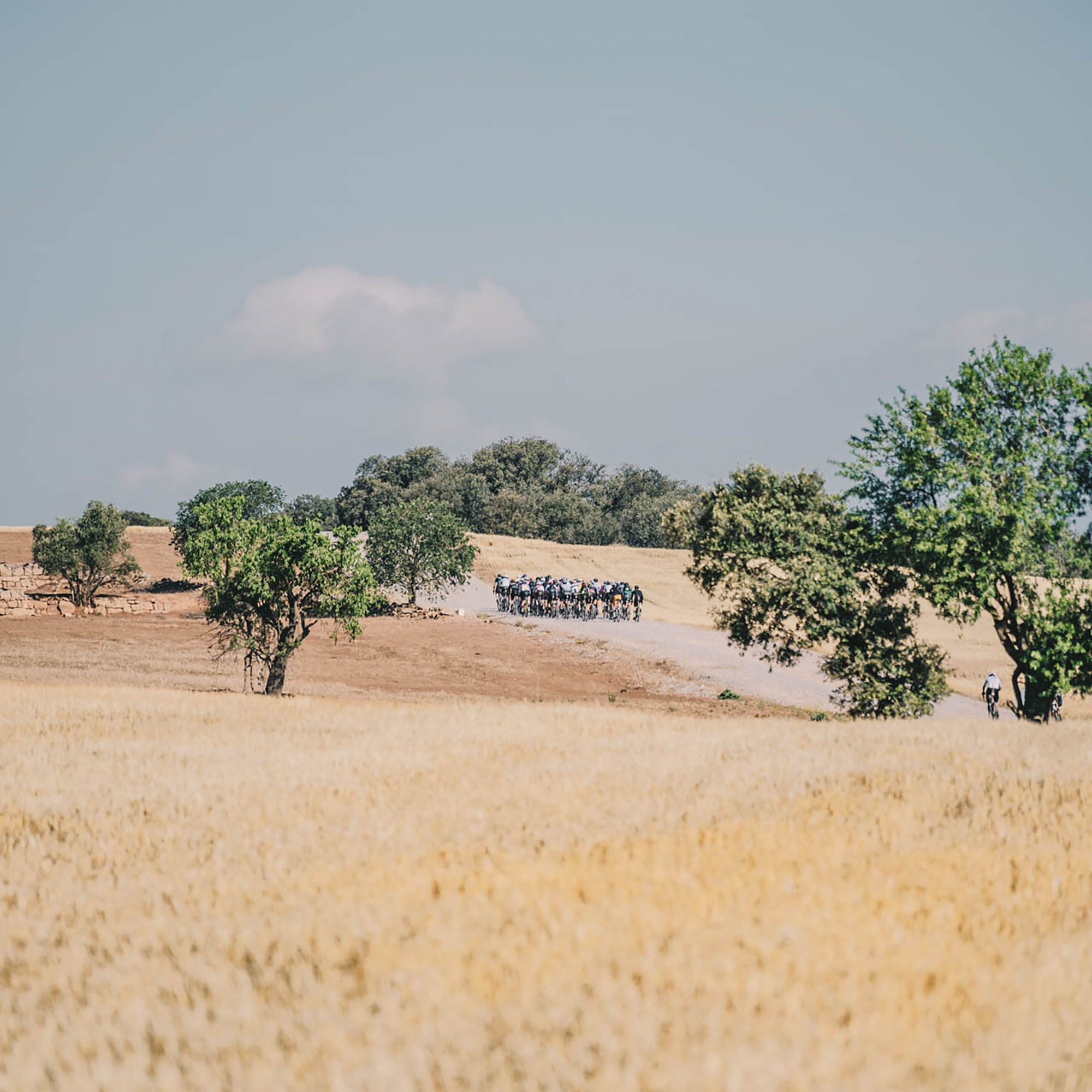 RANXO WILL CROWN THE NEW KINGS OF THE GRAVEL EARTH SERIES Gravel